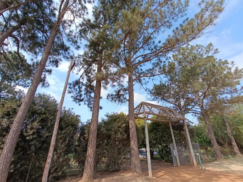 4 Bedroom Property for Sale in Middelburg Eastern Cape